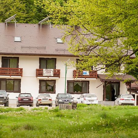 Cabana Barlogul Lupilor Villa Berevoesti Esterno foto