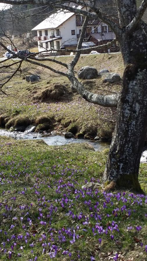 Cabana Barlogul Lupilor Villa Berevoesti Esterno foto