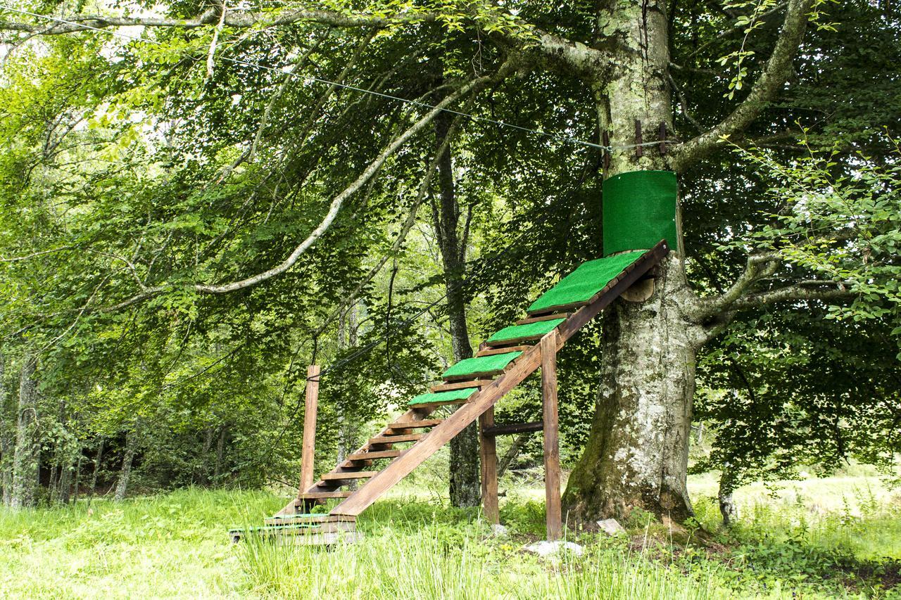 Cabana Barlogul Lupilor Villa Berevoesti Esterno foto