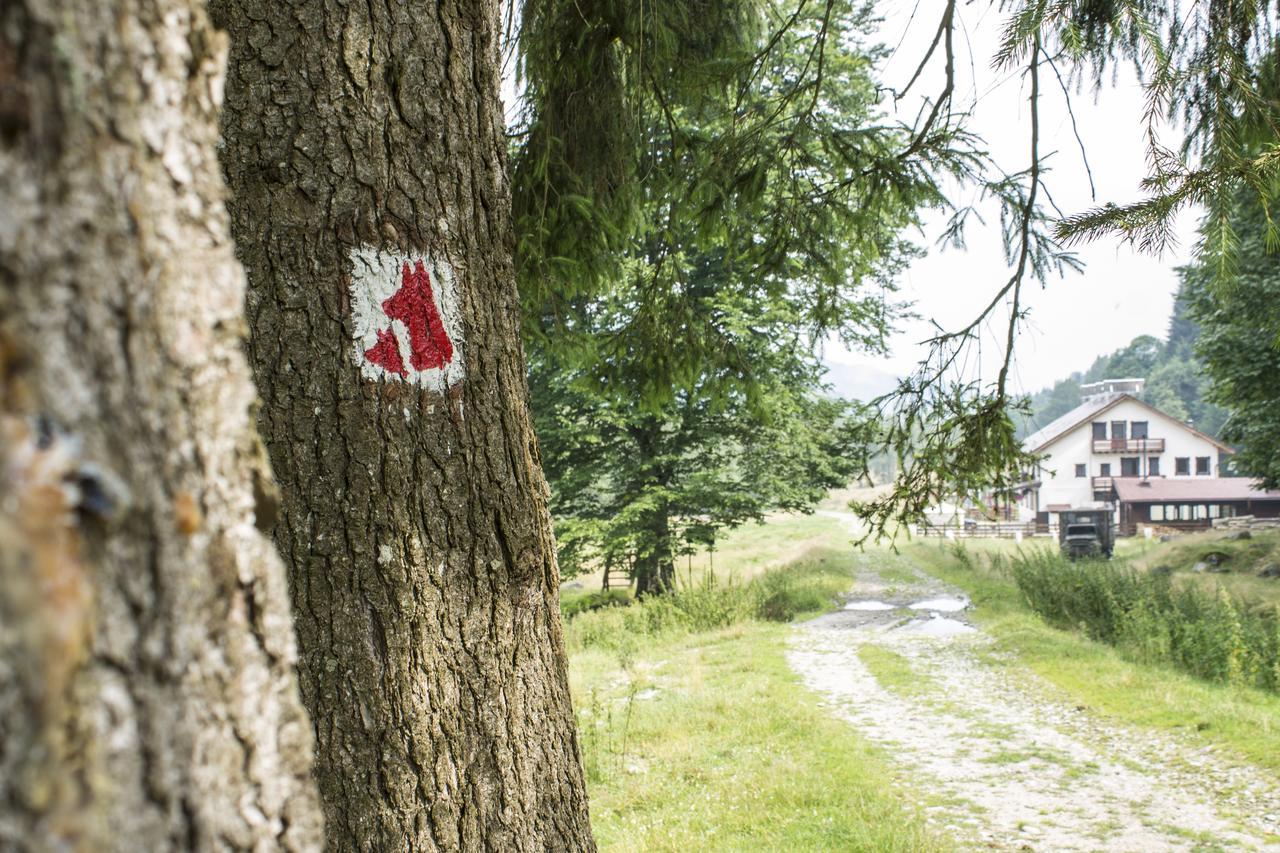 Cabana Barlogul Lupilor Villa Berevoesti Esterno foto
