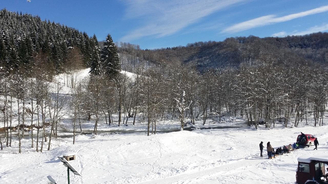 Cabana Barlogul Lupilor Villa Berevoesti Esterno foto