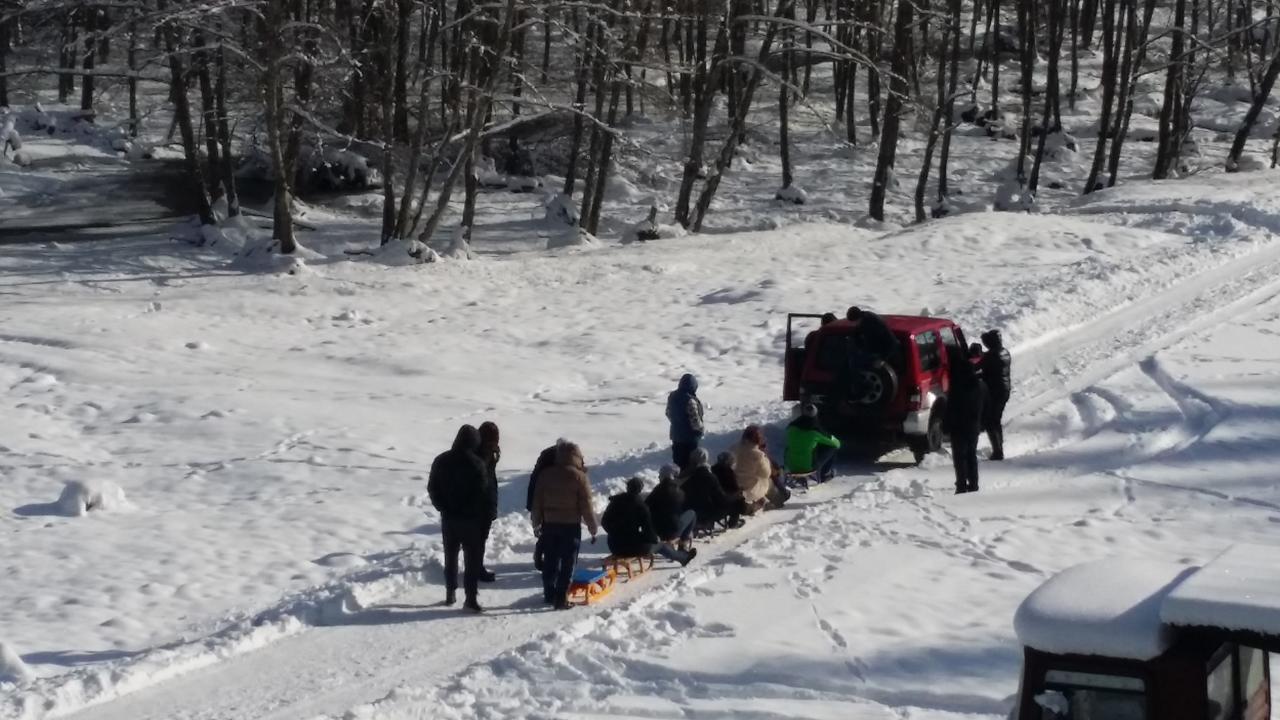 Cabana Barlogul Lupilor Villa Berevoesti Esterno foto