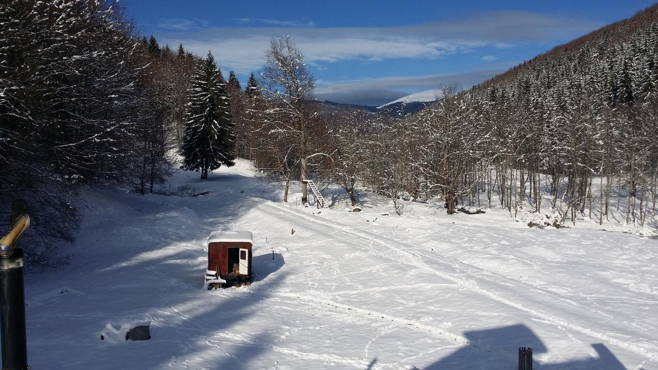 Cabana Barlogul Lupilor Villa Berevoesti Esterno foto