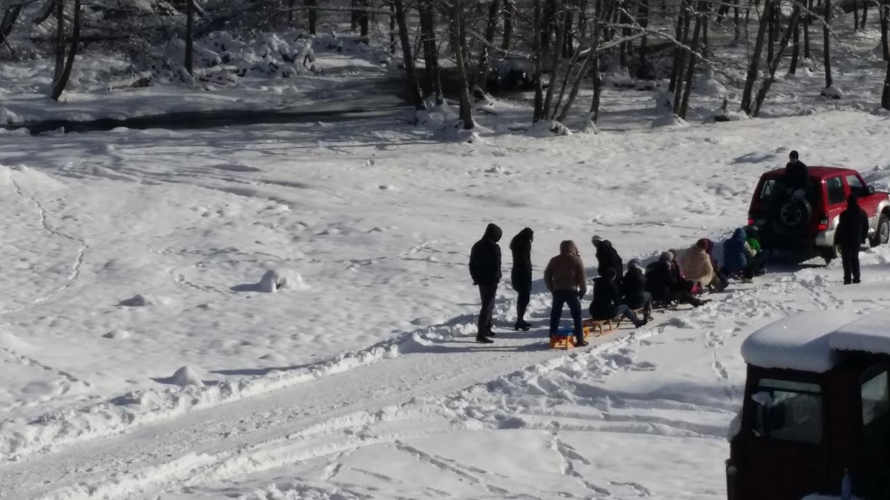 Cabana Barlogul Lupilor Villa Berevoesti Esterno foto
