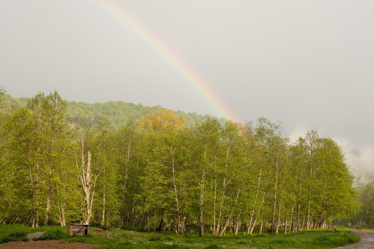 Cabana Barlogul Lupilor Villa Berevoesti Esterno foto
