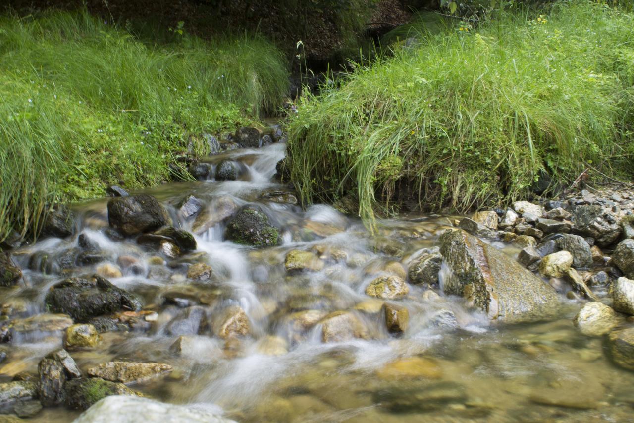Cabana Barlogul Lupilor Villa Berevoesti Esterno foto