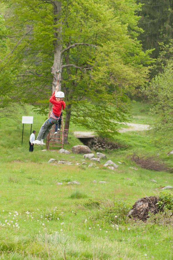 Cabana Barlogul Lupilor Villa Berevoesti Esterno foto